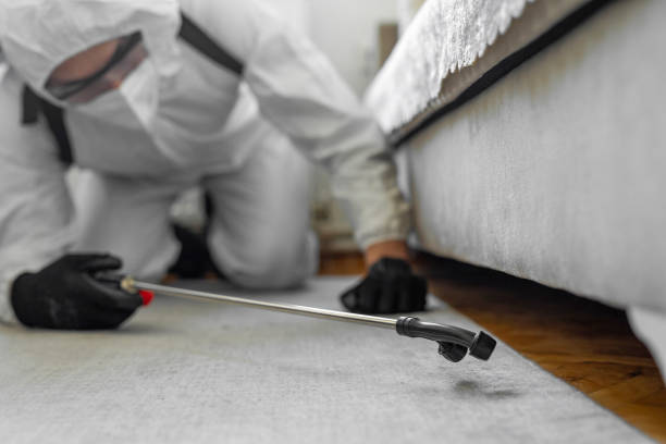 Professional Bed Bug Control technician working in Waverly, MN